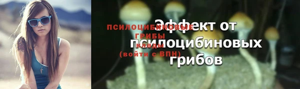 мяу мяу мука Аркадак