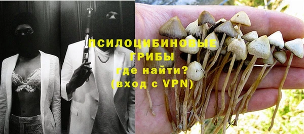 прущий лед Арсеньев