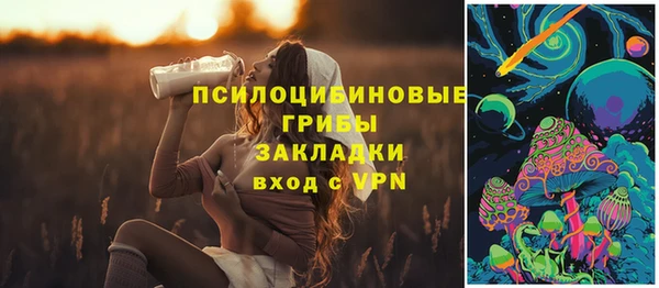 дмт Армянск