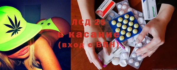мяу мяу мука Аркадак