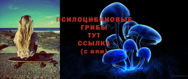 мяу мяу мука Аркадак