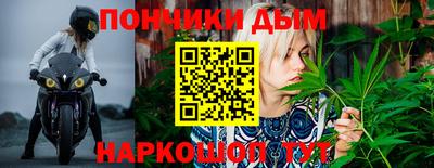 прущие грибы Краснознаменск