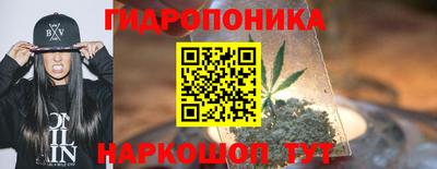 прущие грибы Краснознаменск