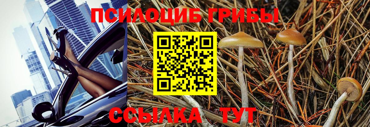 Галлюциногенные грибы ЛСД Качканар