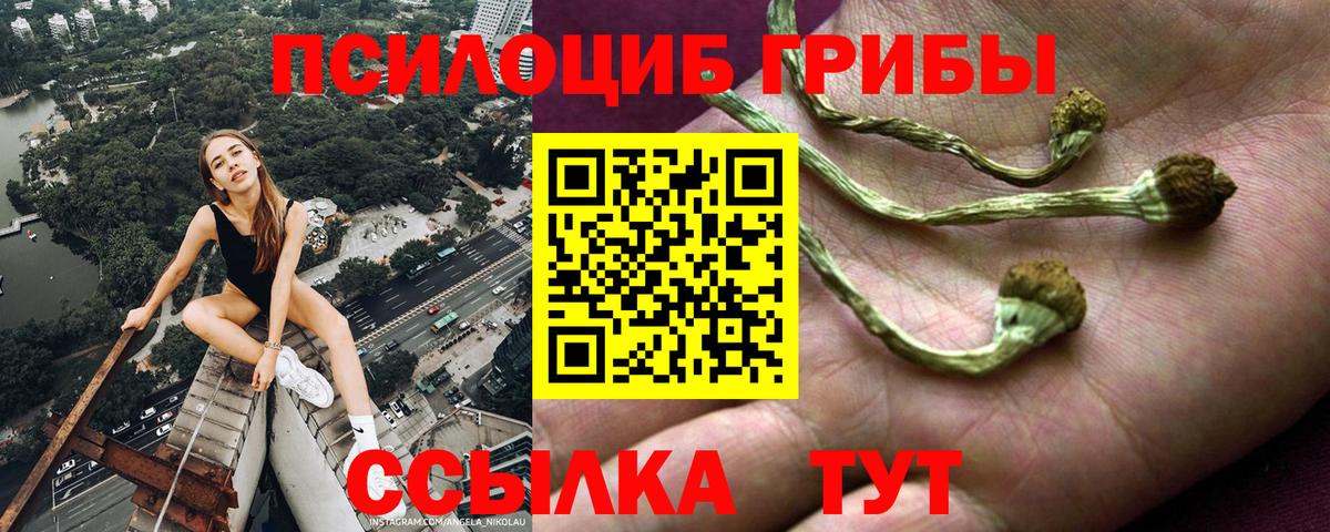 Галлюциногенные грибы Magic Shrooms  Вход с VPN  Качканар 